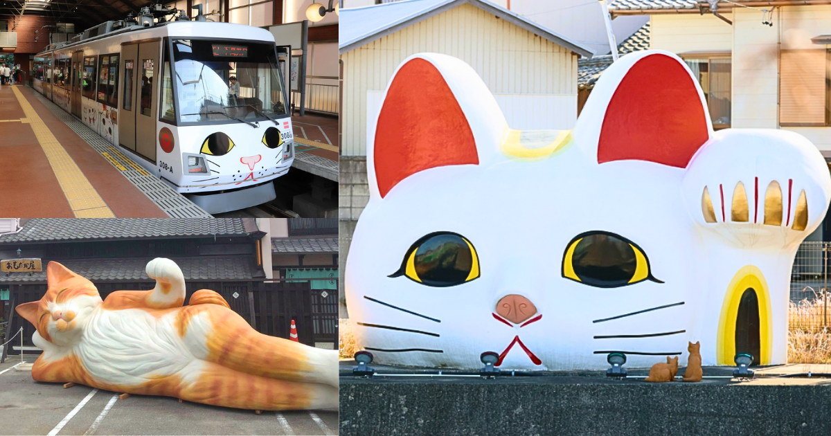 貓奴們必去！5大招財貓聖地：巨大招財貓、搭乘幸福貓列車，求好運求姻緣！